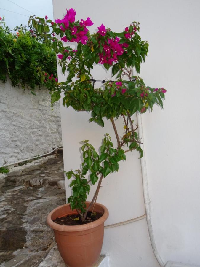 Villa Fotis House Koróni Exterior foto